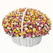 Премиум букет из: Розы в Али-Бердуковском