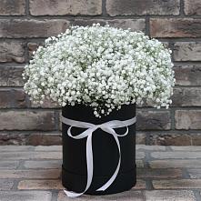 Цветочная композиция из Гипсофила в шляпной коробке #REPLACE_PRED# Али-Бердуковском