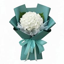 Букет цветов из:  Гортензия #REPLACE_PRED# Али-Бердуковском